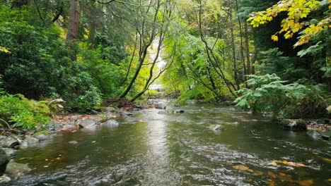 river flowing downstream, camera following the flow of water over rocks