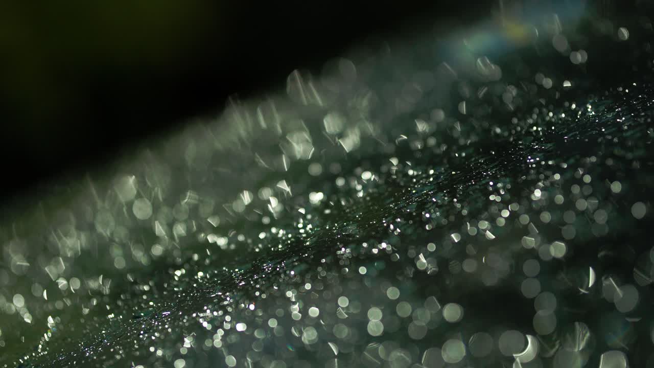 Raindrops sparkling on a surface, reflecting light in a mesmerizing, blurred view