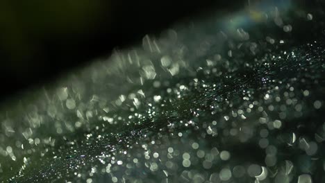 raindrops sparkling on a surface, reflecting light in a mesmerizing, blurred view