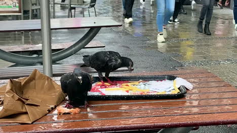 pájaros hambrientos comiendo papas fritas de la mesa en la ciudad