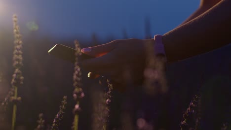 granjera mujer agrónoma manos dueño de un negocio tocando una tableta digital en el campo de lavanda