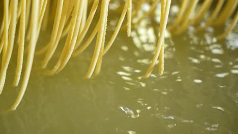 tiras de fideos o vermicelli hirviendo en agua