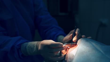 patient under sterile cover. patient in the operating room during ophthalmic surgery