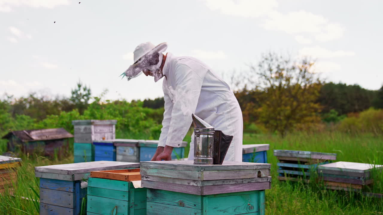 Beekeeper working in an apiary