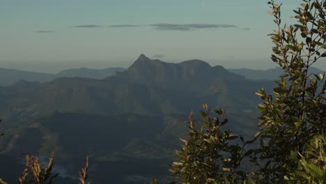 mount warning best of all lookout in springbrook national park australia nature