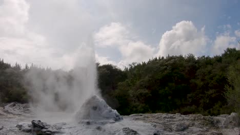 Ausbruch-Des-Lady-Knox-Geysirs-In-Rotoroa,-Neuseeland