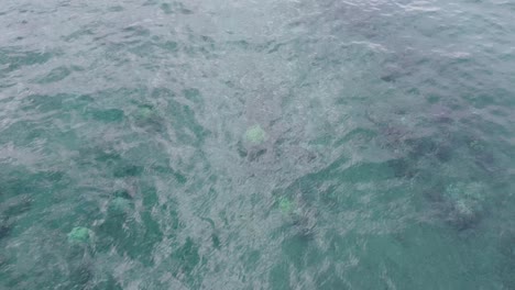 boy swimming in paradise like spot in hawaii