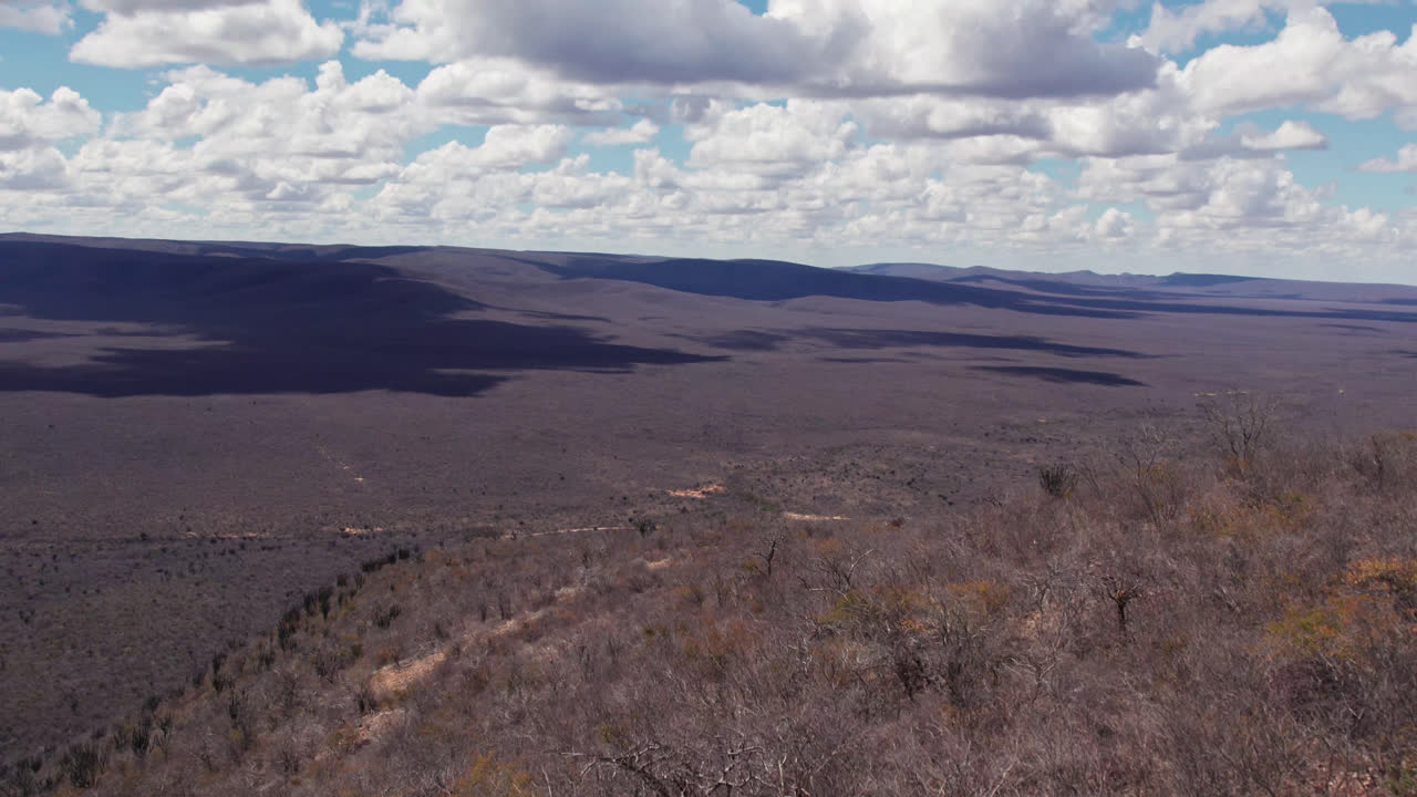 POV near the ground view of plane taking off from dirt ground into the open air with vegetation. Fast pace, proximity flight