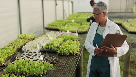 inspección de las plantas, clipboard