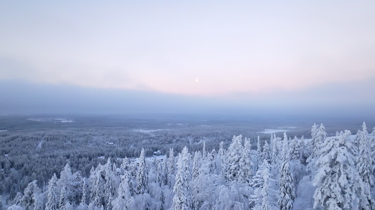 Drone flyover frosty mountain trees, toward the moon and polar night sky of Lapland