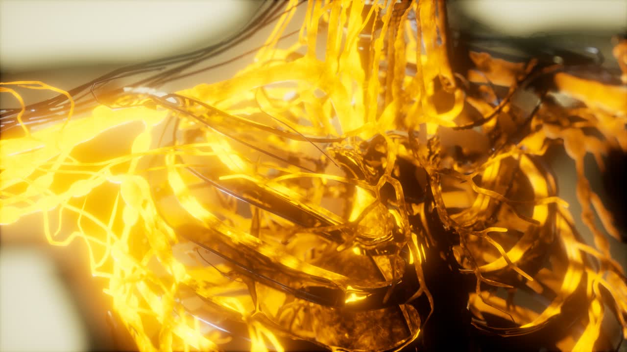 순환계의 혈관에 있는 혈액의 검사