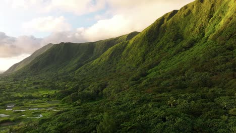 cinematic drone flight over lush green mountain landscape during golden sunset in asia