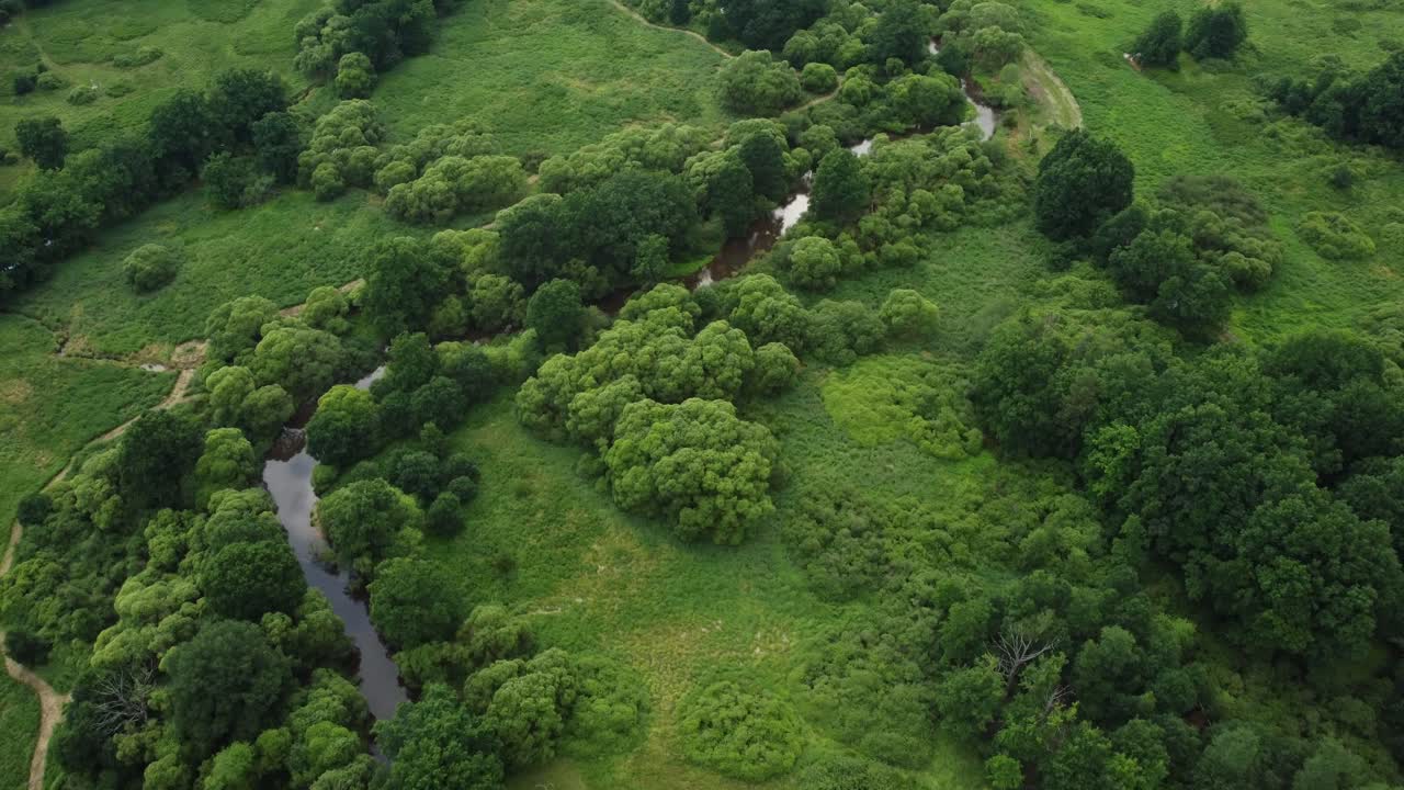Exemplary meandering river, healthy landscape, biodiversity. Drone