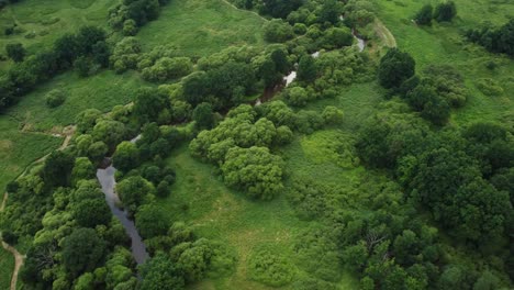 exemplary meandering river, healthy landscape, biodiversity. drone