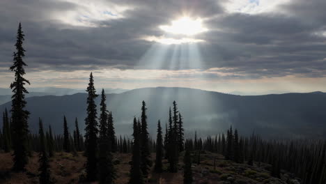 sun rays piercing through clouds over a mountainous forest