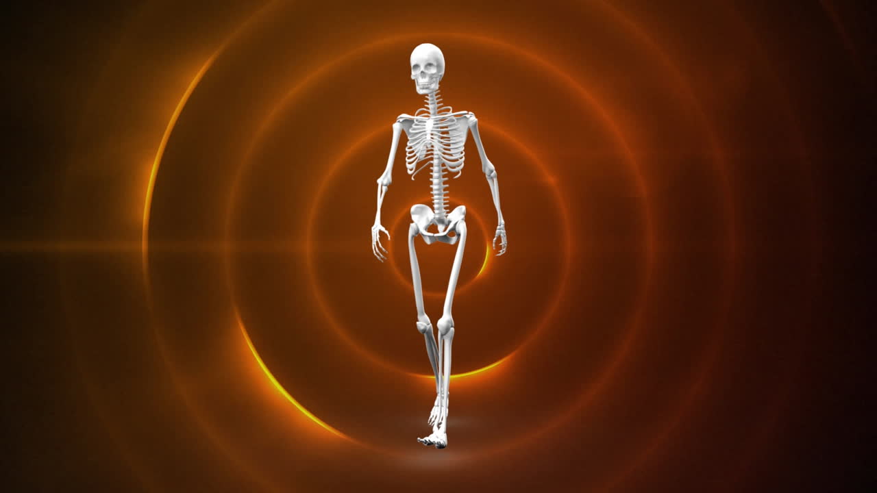 animación del esqueleto humano sobre círculos naranjas
