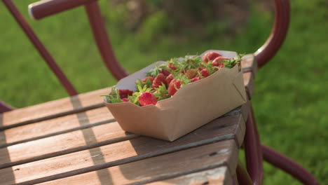 close up of fresh strawberry in cardboard container perched on wooden swing bench gently swaying with warm golden glow and blurred greenery background, sun rays creating soft pastoral scene