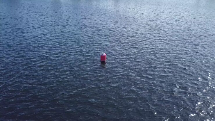 Seagull on the floater in the beach Drone Footage in 4K