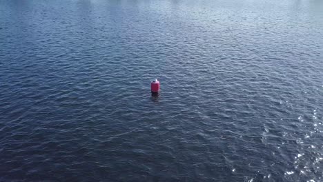 Seagull-on-the-floater-in-the-beach-Drone-Footage-in-4K