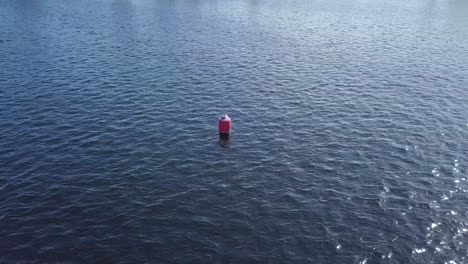 gaviota en el flotador en la playa imágenes de drones en 4k