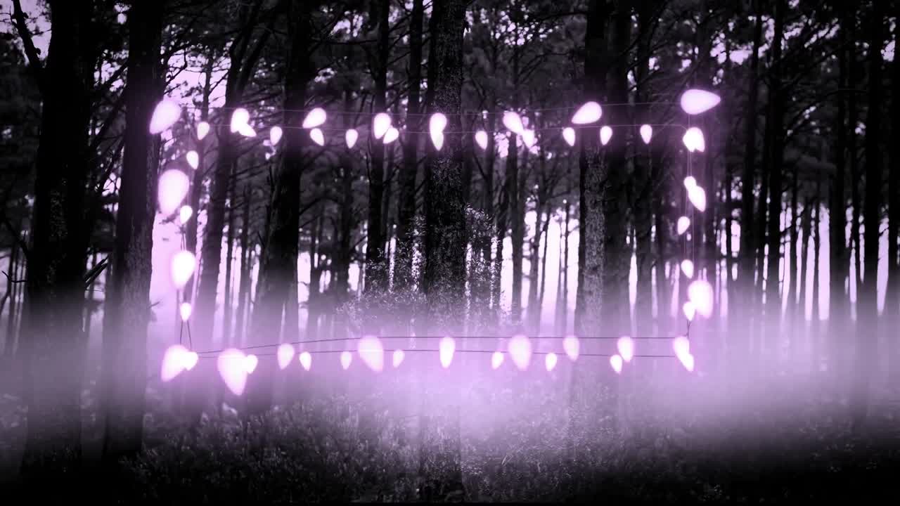 Guirnaldas de luces decorativas moradas brillantes contra múltiples árboles en el bosque.