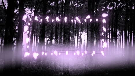 Purple-glowing-decorative-fairy-lights-against-multiple-trees-in-the-forest