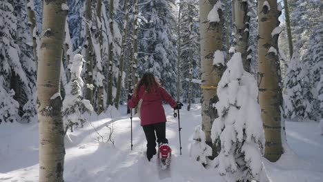 Mujer-Caminando-En-La-Nieve-Con-Raquetas-De-Nieve-En-Cámara-Lenta