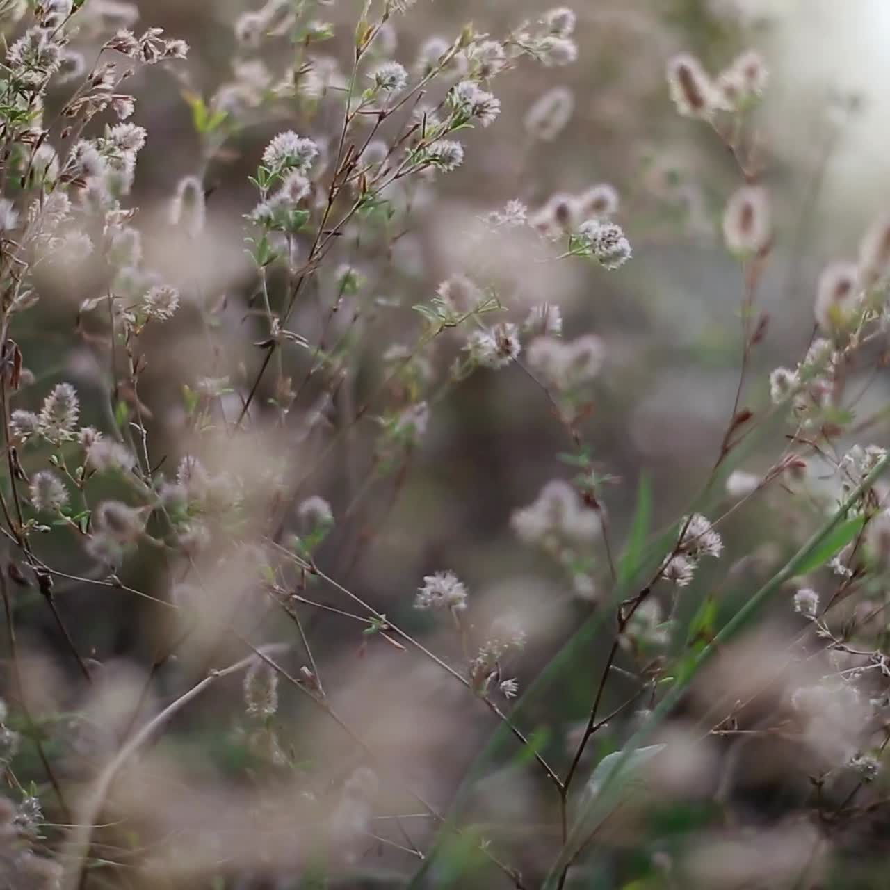 Amazing Wilderness Nature Landscape