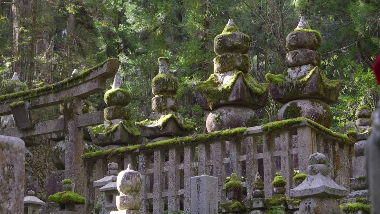 deslizador cinematográfico en cámara lenta sobre los terrenos del templo cubiertos de musgo en koyasan con la estatua roja de jizo