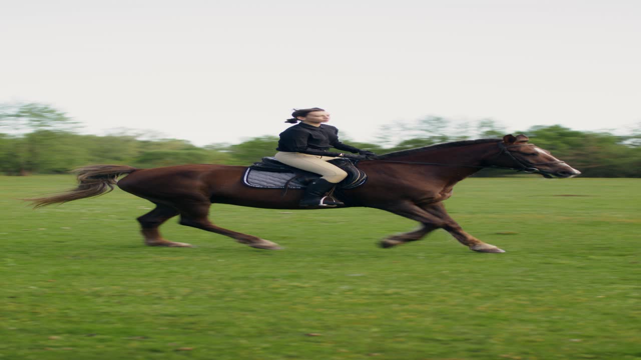 mujer montando un caballo en un campo