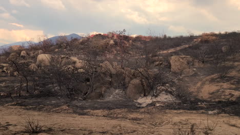 pan of burnt landscape after fairview forest fire in hemet, california