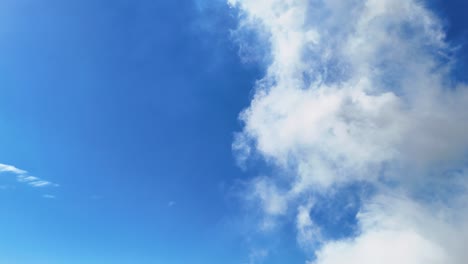 white smoke rises against a vibrant blue sky, suggesting air pollution and climate change themes. bright natural lighting enhances the scene