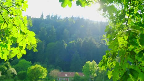 Pan-Relajante-A-Través-De-Ramas-De-árboles-Fondo-De-Montaña-De-Primavera-Soleada-4k