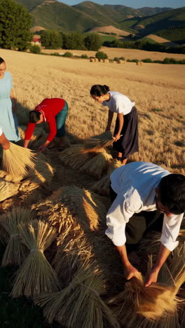harvesting wheat in a mountainous region
