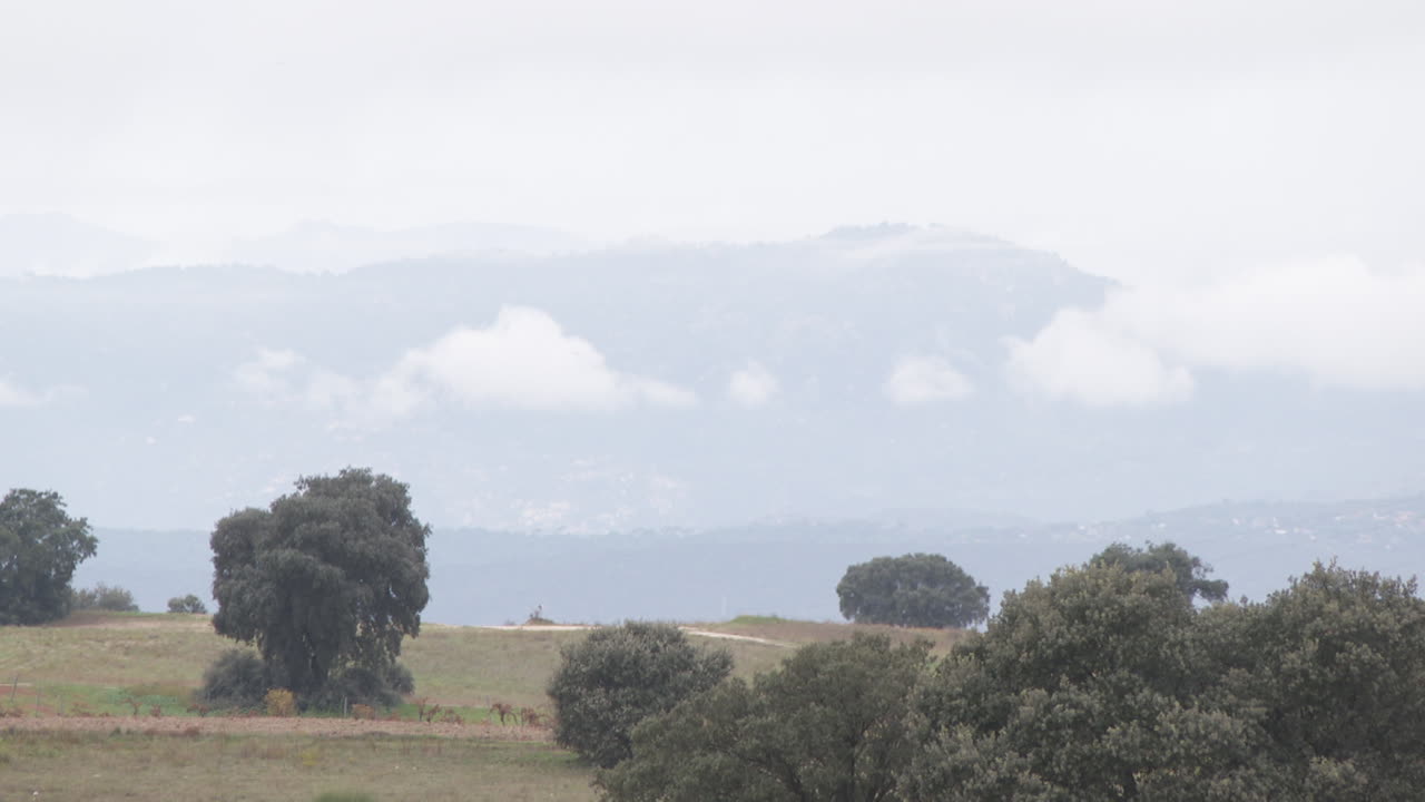 안개 가 가득 한 산악 풍경
