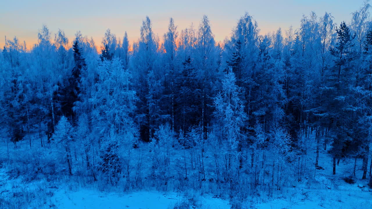Tiheä talvimetsä kuurapeitteisine puineen ja auringonlaskun hehkuineen. Sinisävyinen jäätyneiden puiden metsä, josta oranssi auringonlaskun valo pilkistää oksien välistä
