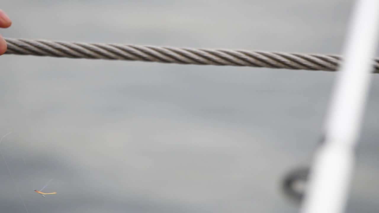 Fishing with a small bait fish