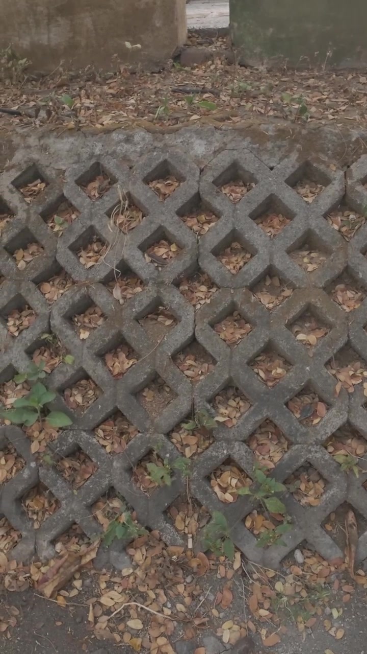Concrete Retaining Wall with Diamond Pattern and Fallen Leaves