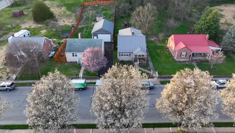 Panoramic-view-of-a-few-houses-in-a-small-neighborhood-with-newly-blooming-trees-in-the-spring