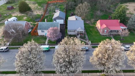 panoramic view of a few houses in a small neighborhood with newly blooming trees in the spring