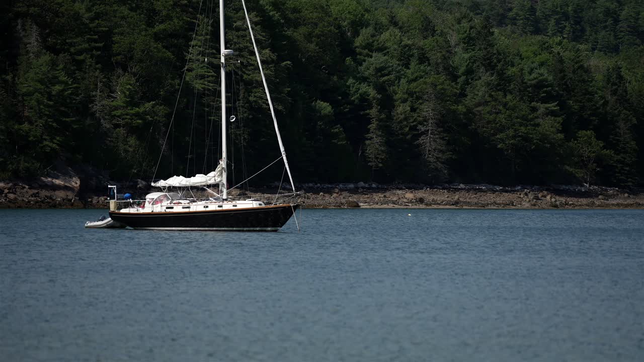 Barca a vela in bianco e nero ancorata a una boa di ormeggio con una fitta foresta verde sullo sfondo, al rallentatore.