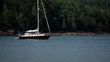 black and white sailboat anchored to mooring buoy with lush green forest behind, slow motion