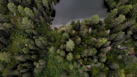 Sobrevuelo-Aéreo-Sobre-Lagh-Da-Bitabergh-En-Maloja,-Suiza-Con-Una-Panorámica-Desde-Los-árboles-Hasta-El-Lago