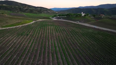 Vista-Aérea-Sobrevolando-La-Plantación-De-Viñedos-De-La-Región-Vinícola-De-Temecula-Durante-La-Puesta-De-Sol