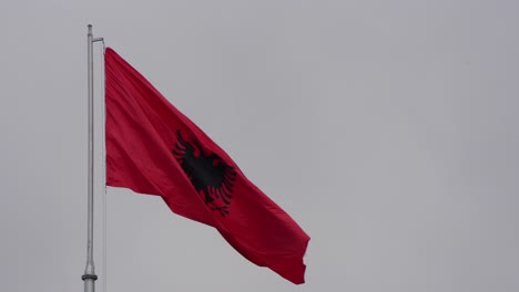 albanian flag with black eagle on red square waving, isolated national flag of albania
