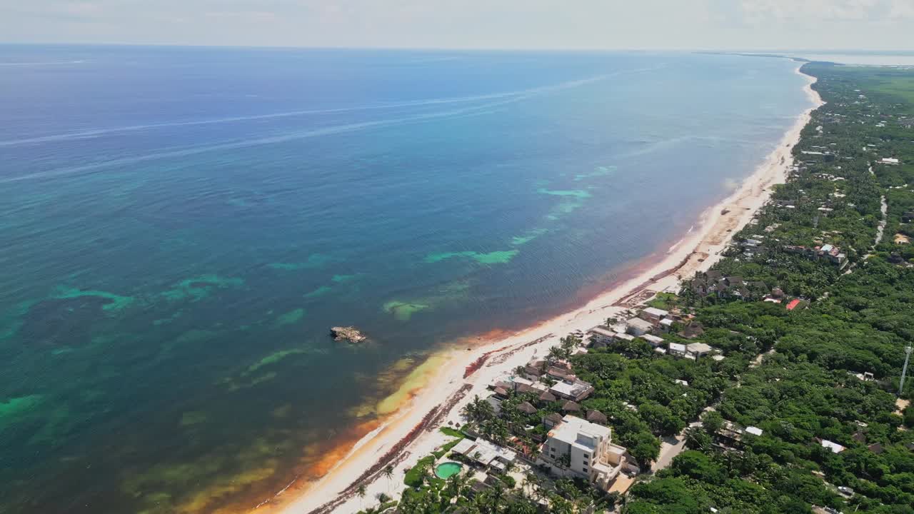 Picturesque Coastline of Tulum spoiled by Unsightly Sargassum Invasion