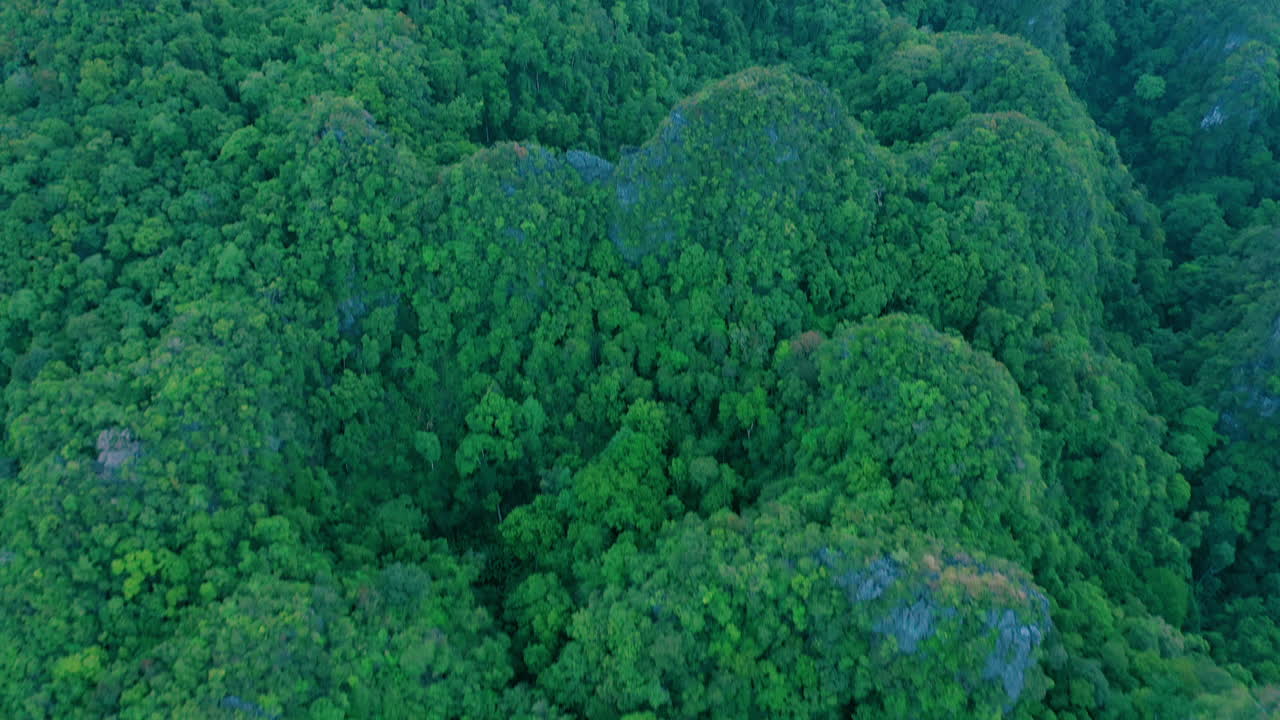 el mundo natural es uno para maravillarse