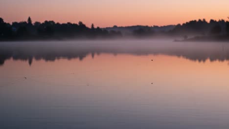 serenity at dawn: a tranquil reflection on misty waters as the sun rises, casting soft hues across the surface, creating a moment of peace