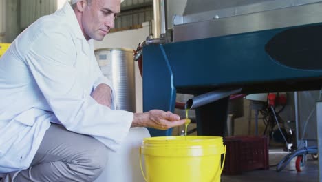 técnico que examina el aceite de oliva