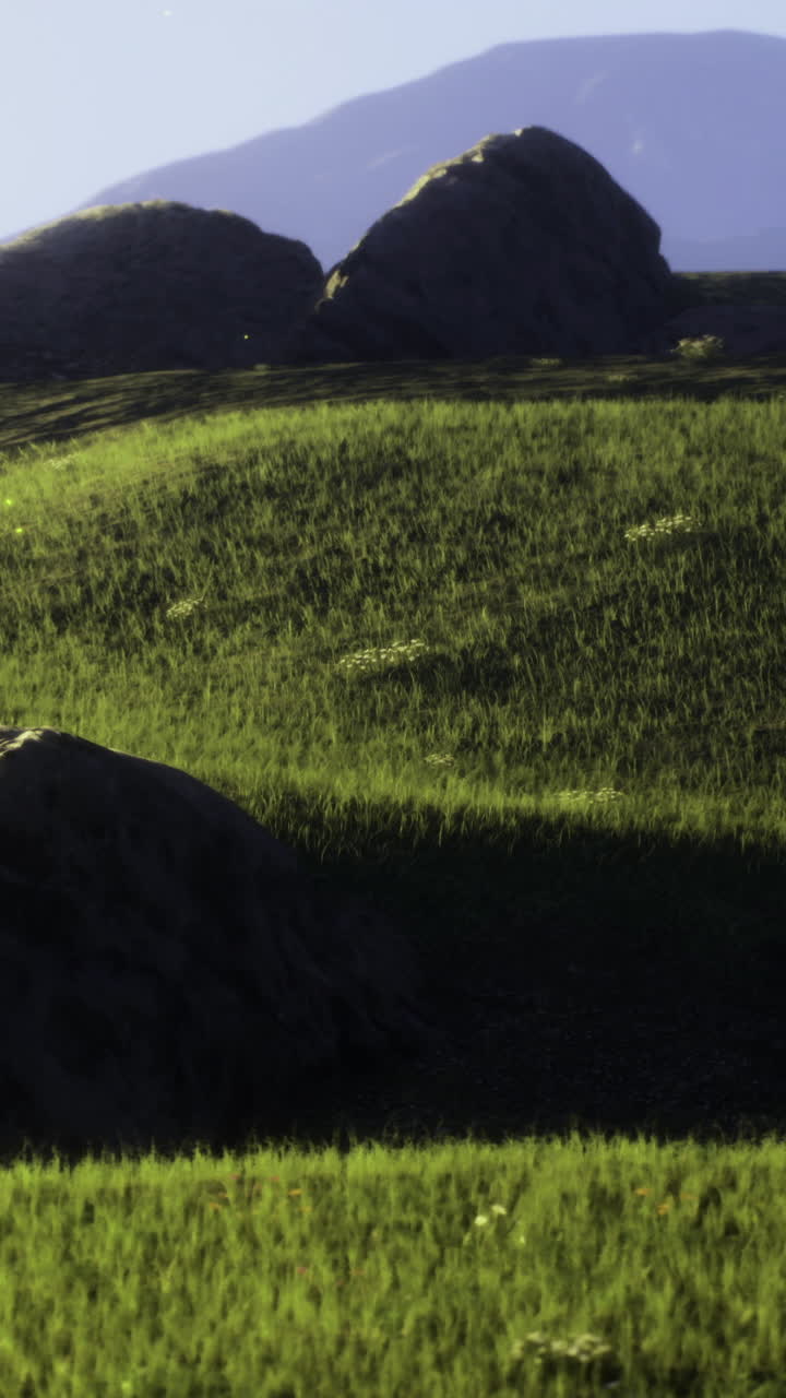 Lush green fields under a clear sky with distant mountains at sunset